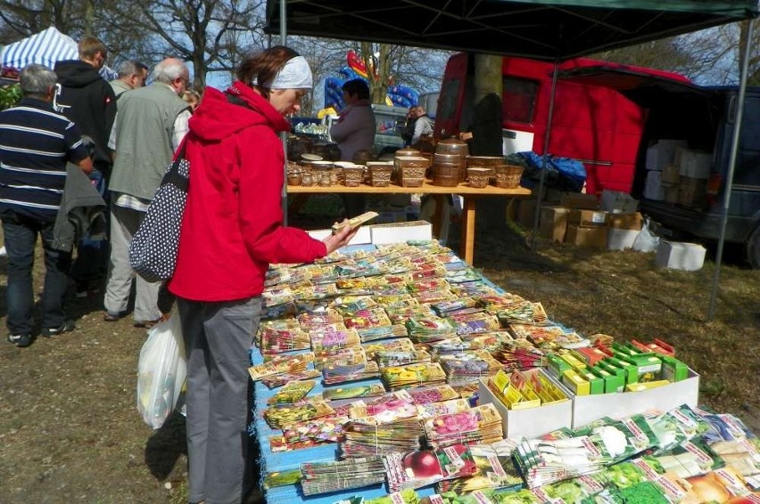 Agro Targi w Starej Łubiance już po raz 22.