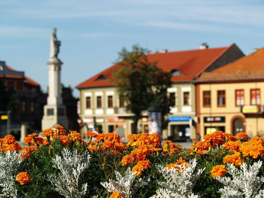 Rynek w Bochni