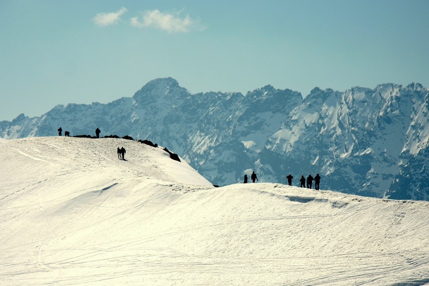 Patrząc na Tatry, uczestnicy zgadywanki myśleli, że widzą...