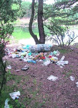 Życie po śmieciach: Śmieci wokół zalewu w Zaborzu