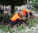 Ruszą prace społecznie użyteczne. Zatrudnionych zostanie 90 osób