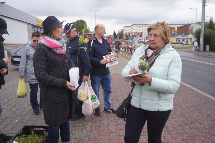 Wybory Radomsko 2019: Anna Milczanowska kończy kampanię i rozdaje drzewka [ZDJĘCIA, FILM]