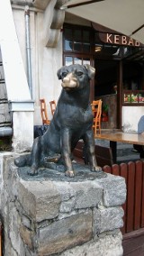 Pomnik Psa - jedna z atrakcji turystycznych Kazimierza Dolnego