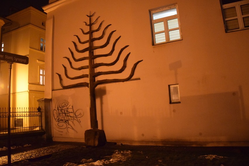 Drzewo Sprawiedliwych na skwerze Starej Synagogi w Tarnowie...