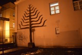 Drzewo Sprawiedliwych na skwerze Starej Synagogi w Tarnowie. To początek projektu tarnowskiego Gaju Sprawiedliwych Wśród Narodów Świata