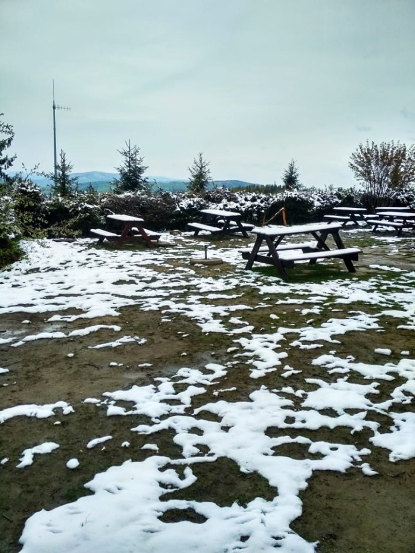 Śnieg w górach nadal trzyma. Niestety, to nie koniec przymrozków