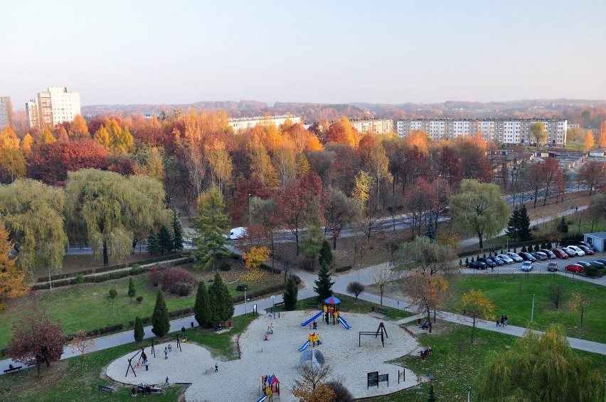 Jesień w Jastrzębiu! Zobacz ją na zdjęciach!