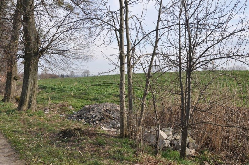 Dzikie wysypiska śmieci w gminie Dzierzgoń