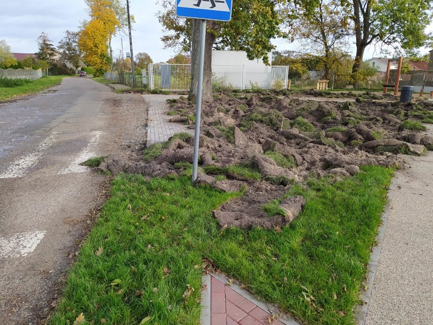 Plac piknikowy padł ofiarą "wandalizmu". NA zdjęciach...