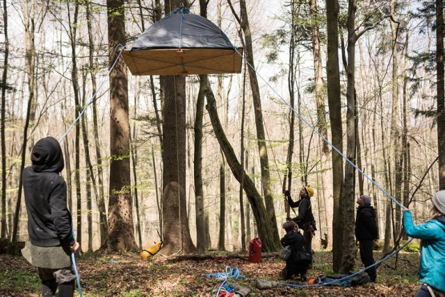 Już 11 dni trwa okupacja lasu w Nadleśnictwa Bircza, niedaleko Przemyśla, prowadzona przez działaczy Inicjatywy Dzikie Karpaty.