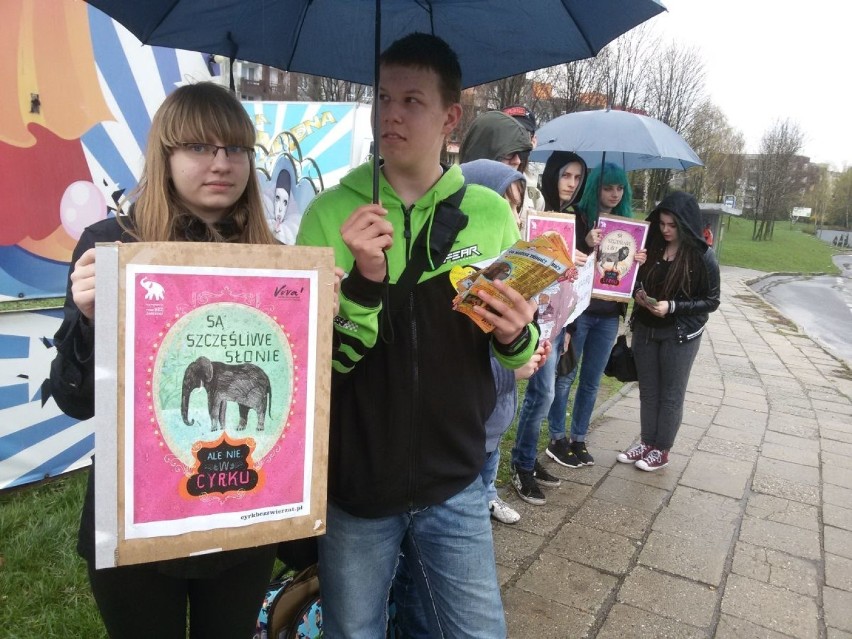 Protest przed cyrkiem w Wodzisławiu Śląskim