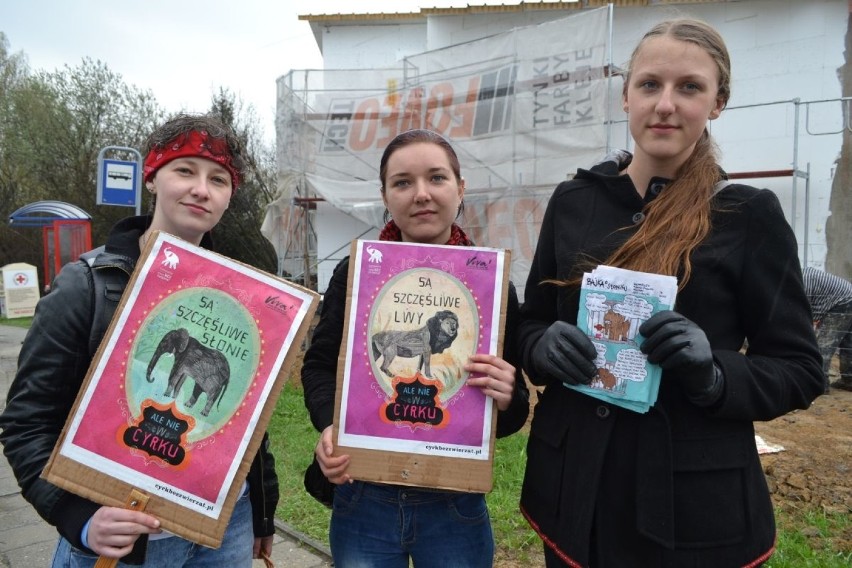 Protest przed cyrkiem w Wodzisławiu Śląskim