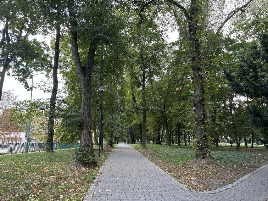 Jesień wkracza do Parku Miejskiego w Sandomierzu – Ogrodu...