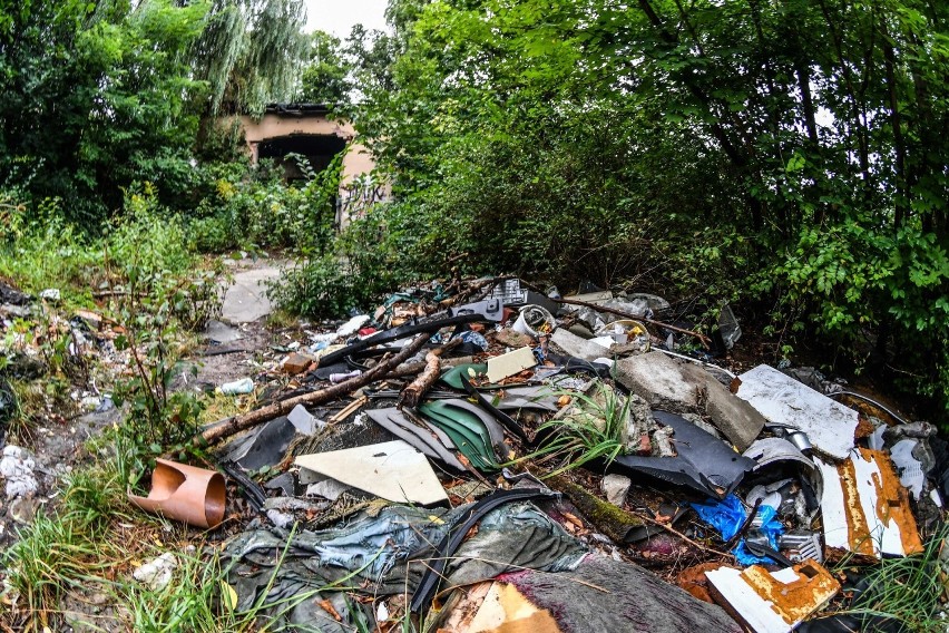 Wielkie nielegalne wysypisko śmieci w Bydgoszczy. Ratusz karze dzierżawcę terenu, ale niczego to nie daje [zdjęcia]