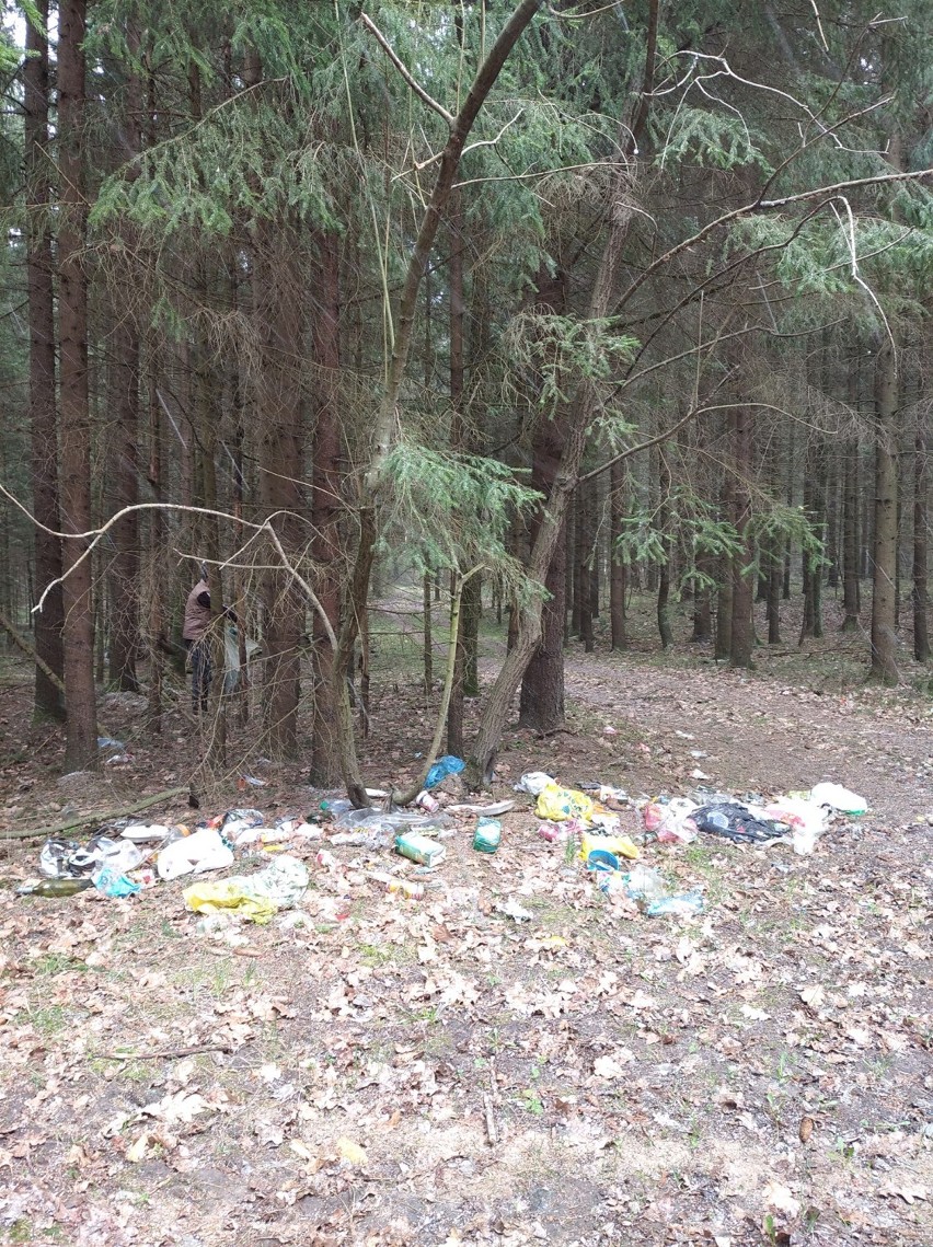 Akcja Sprzątanie Świata w gminie Filipów. Śmieci zbierają urzędnicy i mieszkańcy wsi [Zdjęcia] 