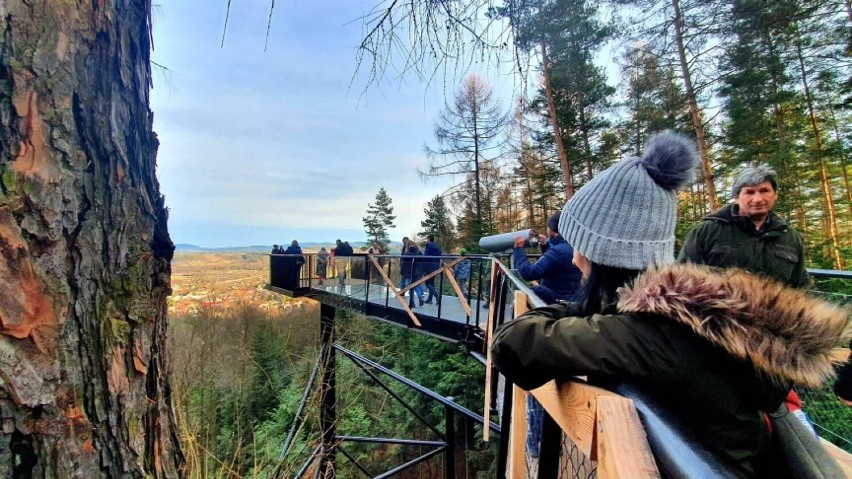 Leśne Molo ma szansę na prestiżową nagrodę