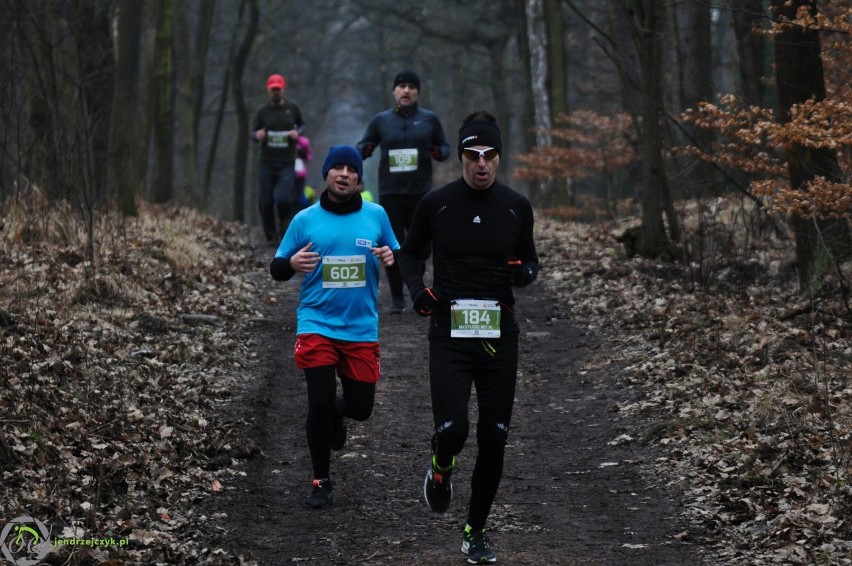 City Trail w Katowicach - zdjęcia z finałowego biegu [28 luty 2016]