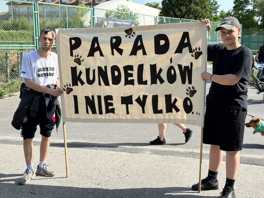 Konińska Parada Kundelków i nie tylko. Prawdziwa miłość ma cztery łapy [WIDEO]