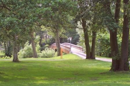 Chojnice. Zobacz jak może wyglądać Park Tysiąclecia!!!