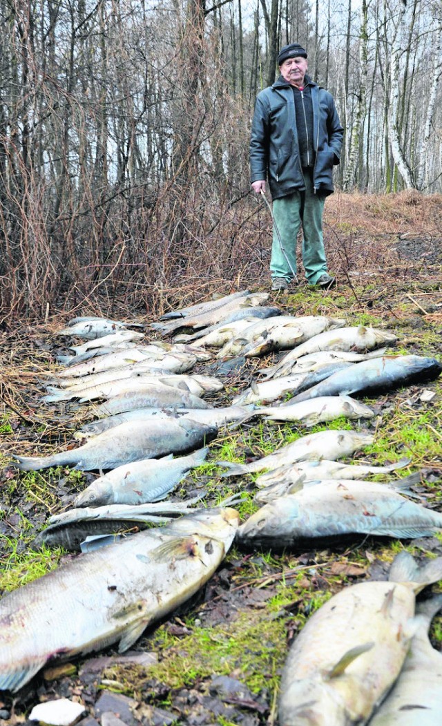 To już drugi raz w ostatnich miesiącach, kiedy ryby w stawie  zostały  zatrute