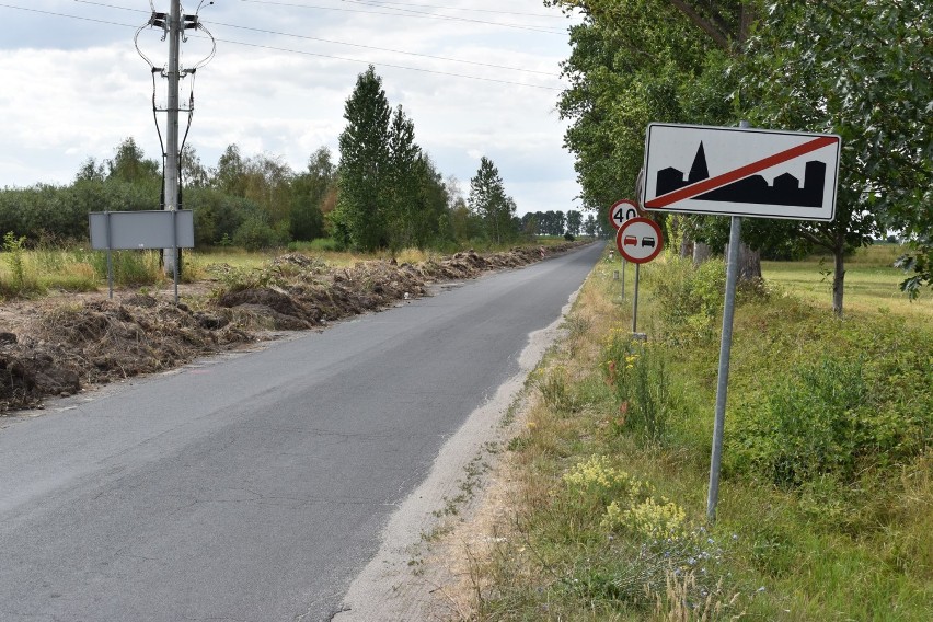 Po drzewach wzdłuż drogi powiatowej pomiędzy Maszewem a...