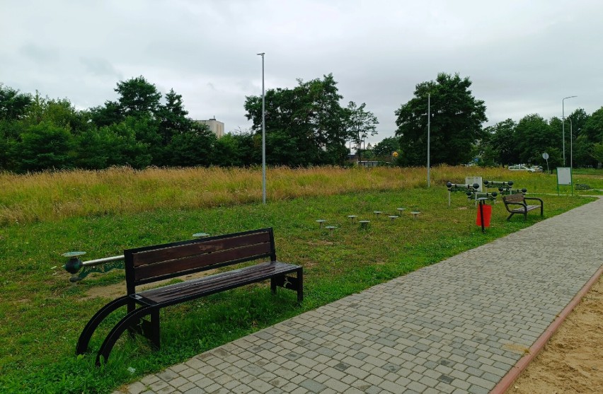Nowy park przy ulicy Jagiellońskiej w Radomsku. Miasto ogłosiło przetarg. FILM
