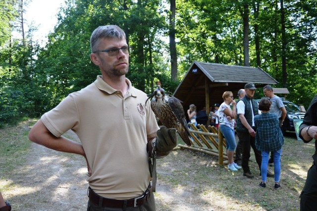 Leśny labirynt i spotkanie z sokolnikiem. Piknik na powitanie wakacji.