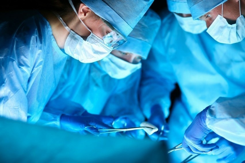 100 transplantacji serc i płuc w ŚCCS w Zabrzu w 2023 roku