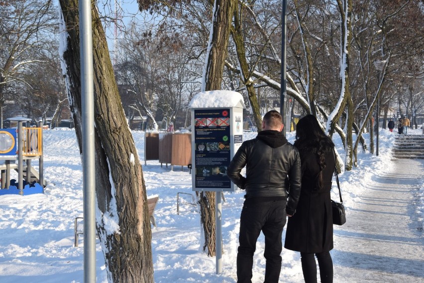 Zimowy spacer po Pruszczu Gdańskim. Mimo mrozu pruszczanie wybrali się na spacer, sanki, kijki |ZDJĘCIA