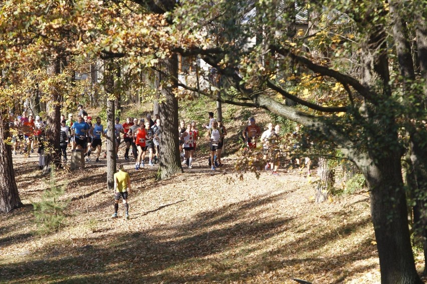 X Półmaraton Szakala dookoła Lasu Łagiewnickiego