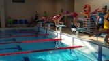 Rodzinne zawody pływackie w ZS 3 