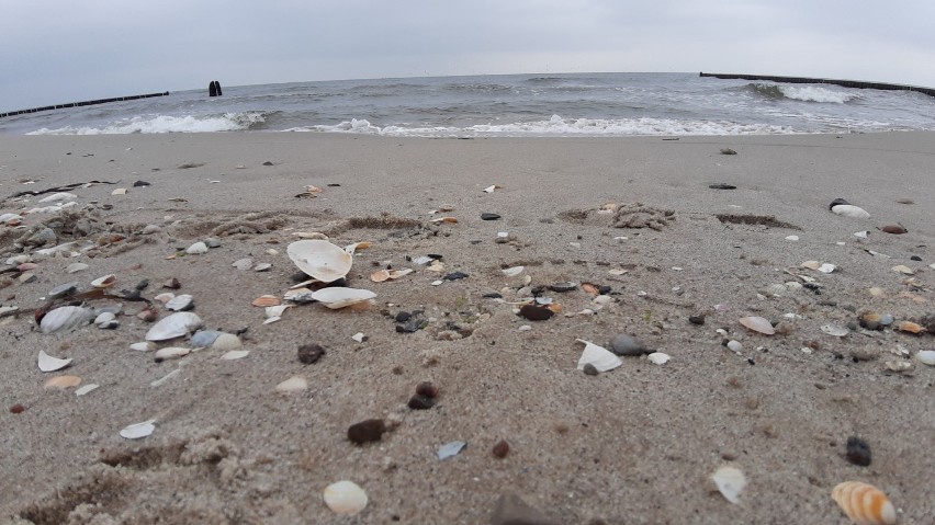 Bałtyk w maju, choć jeszcze lodowaty, zachwyca. Zobaczcie, jak pięknie jest na plaży [ZDJĘCIA]