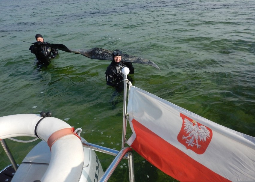 Śmigło Lublina R.VIII znalezione w wodach Zatoki Puckiej