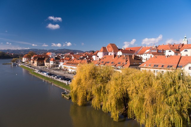 Widok na dzielnicę Lent w Mariobrze, w centrum Stara Winorośl