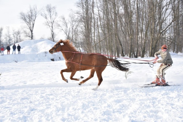 Parada Gazdowska 2019 - Biały Dunajec