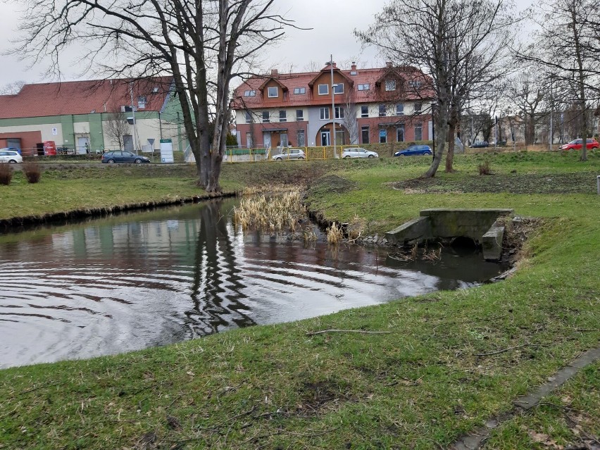 Wirtualny spacer po Parku Centralnym w Pruszczu Gdańskim