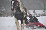 Mistrzostwa Kaszub w Powożeniu na Szlópie - Kaszëbskô Szlópa 2017 -  29 stycznia w Ostrzycach