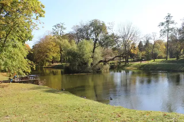 Bytom został wyróżniony w konkursie "Miasto z klimatem" w kategorii tereny zielone.