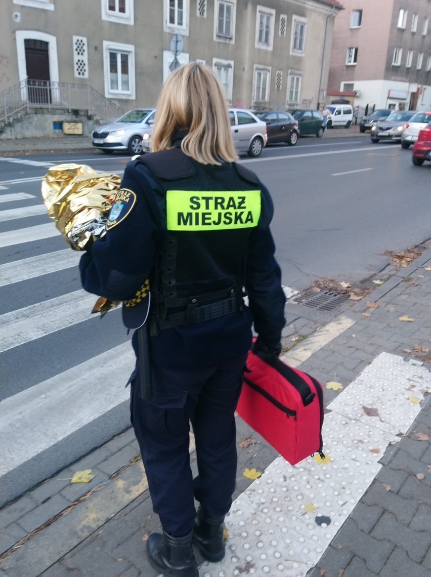 Zdjęcie z interwencji