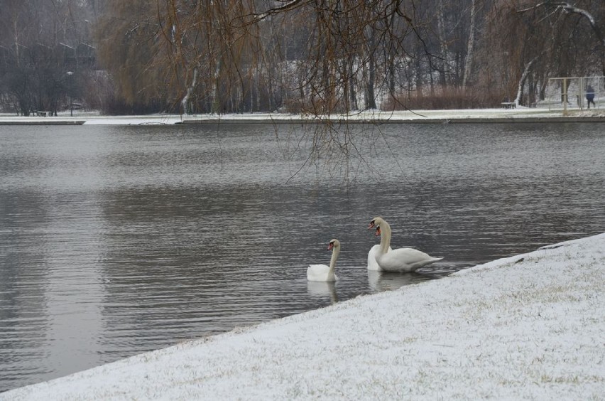 Zima 2014 w Świętochłowicach