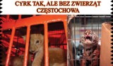 Nie dla cyrku ze zwierzętami w Częstochowie