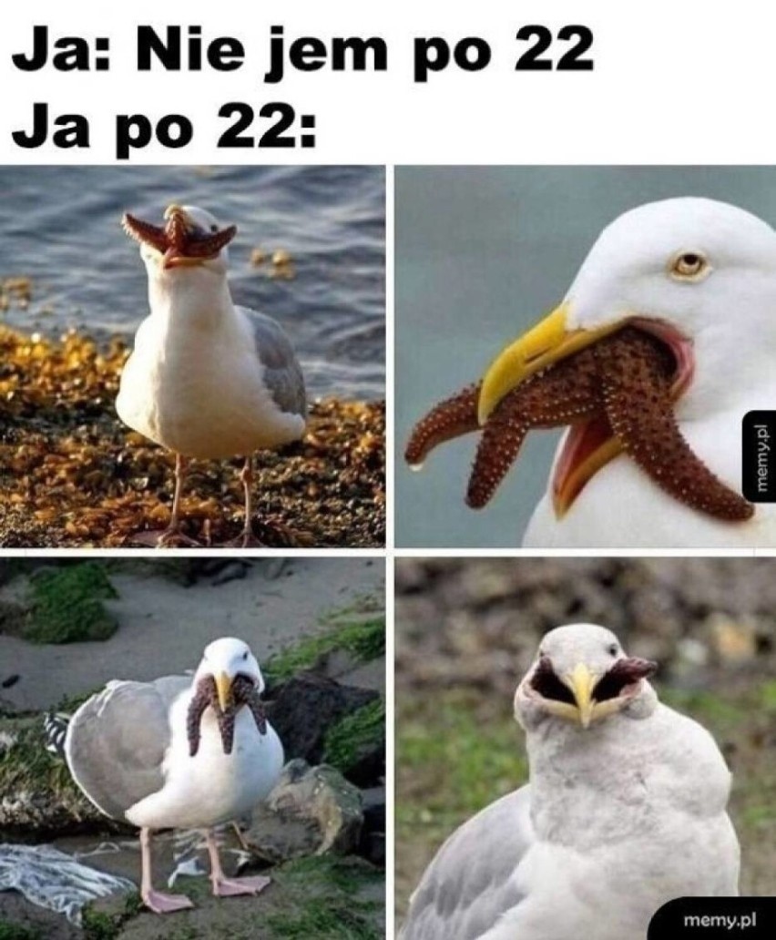 Oto najlepsze MEMY o diecie!