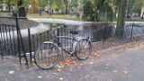 Ktoś utopił rower w stawie na Kościuszki. Strażnicy miejscy szukają teraz właściciela