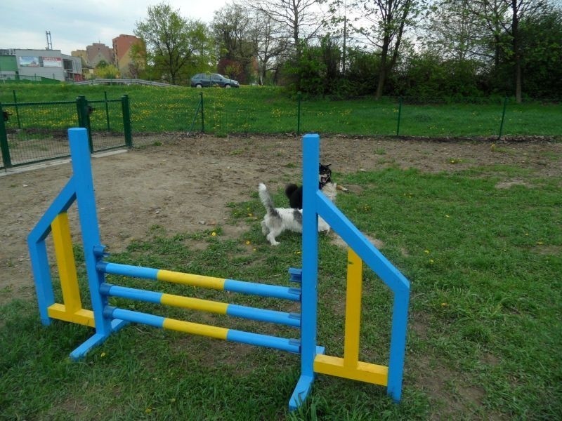 Pszczyna: Park dla psów przy ul. Bielskiej. Byliście już ze swoimi czworonogami?