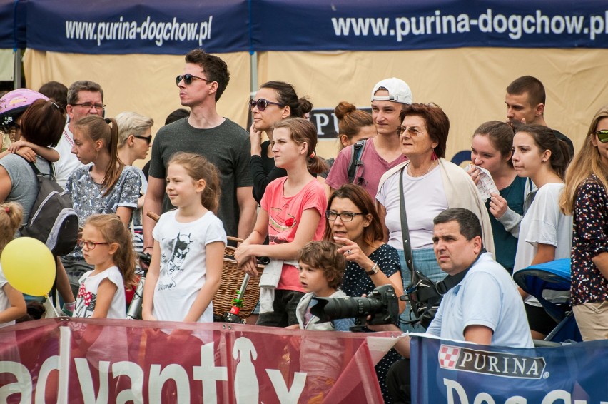 Latające Psy 2016. Widowiskowe psie zawody na Polu...