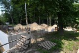 W zoo w Krakowie budują małpiarnię. Ale makaki na nowy dom muszą jeszcze poczekać   