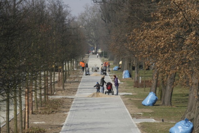 Park Miejski w Legnicy - trwa remont alei