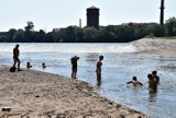 Upały w Brzegu. Mieszkańcy wypoczywają nad Odrą. Część szuka ochłody w rzece. Pomimo zakazu kąpieli