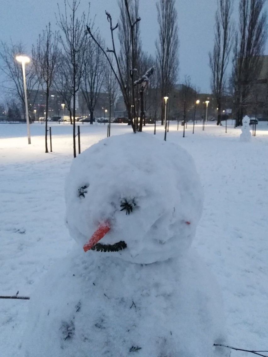 Pierwsze bałwany tej zimy! Zobacz dzieła naszych Czytelników