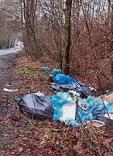 Tropimy zanieczyszczone miejsca. Tym razem śmieci leżały przy ulicy Spacerowej w Jastrzębiu-Zdroju